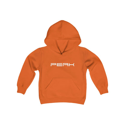 PEAK Kids Heavy Blend Hooded Sweatshirt (Available in 7 Colors).