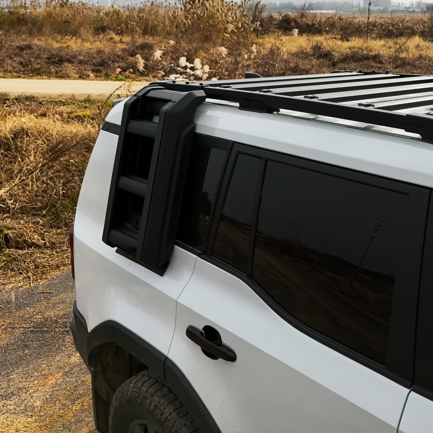 Side-Mounted Foldable Ladder System for Toyota LandCruiser Prado J250 & Lexus GX550